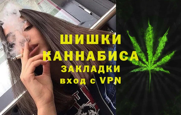 mix Инта