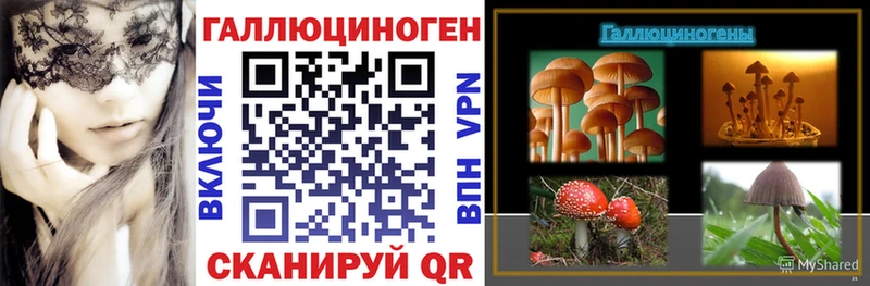 Псилоцибиновые грибы Psilocybine cubensis  Полтавская 